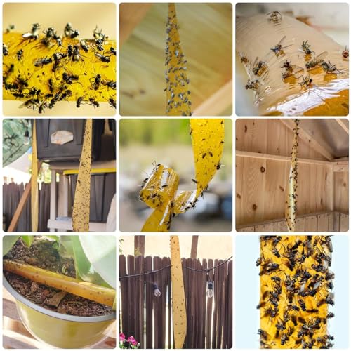 Outdoor Fly Trap Indoor Hanging 24pk, Sticky Fly Strips Tape Paper for Home | Flies Ribbon Rolls for Home Kitchen, Fruit & Bug Gnat Catchers for Inside, Killer for Winged Insect - size: 24 pack