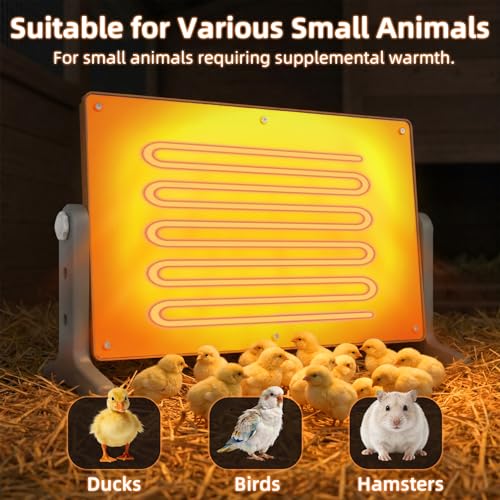 Chick Brooder Heater Plate, 12"x7.9" Warm Brooder Plate for Chicks Poultry | Chicken Brooder with Adjustable Height, Angle & Temperature, 50W Heat Plate for Chicks Poultry, Warm like Mother Hen