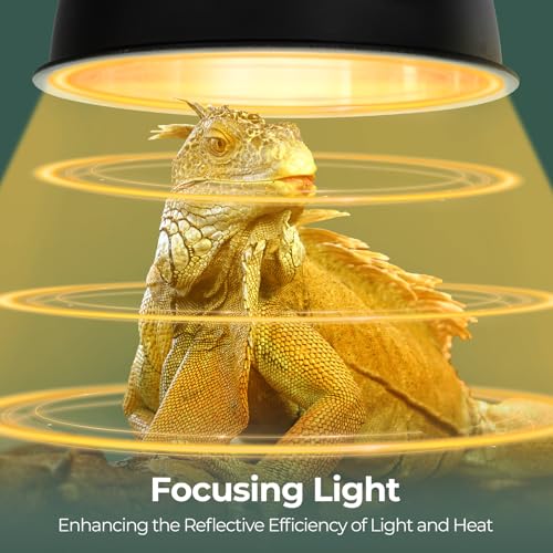 2 Pack Reptile Light Fixture, 8.5in Deep Dome Reptile Heat Lamp Fixture with Switch, Dual Terrarium UVB Basking Light Fixture for Chameleons Chicks, Suitable for E26 Bulbs Up to 150W - size: 8.5IN 150W