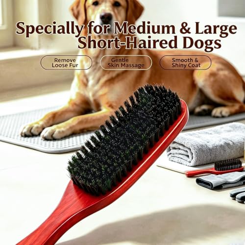 Boar Bristle Dog Brush for Short Haired Dogs, Natural Wooden Grooming Tool, Reduce Shedding, Detangle & Massage Sensitive Skin, Grooming to Calm Dogs & Build Pet Owner Bonding (Red sandalwood) - color: Red sandalwood