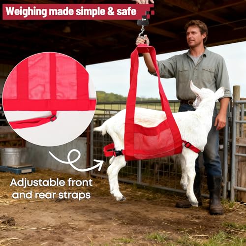 Calf Weighing Sling, Livestock Weight Sling for Lambs, Goats, Sheep & Piglets | Heavy Duty Animal Weight Scale Harness for Farm Use (Red) - color: Red