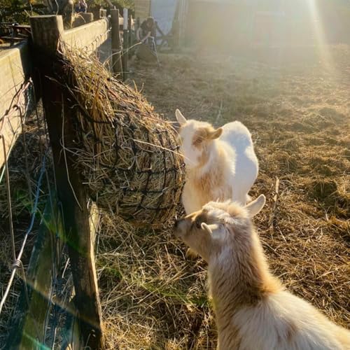 Slow Feed Hay Net for Horses,2 Pack Hanging Feeder for Horses Sheep Goats, Black Nylon Mesh Bag, 40 Inch Length, 2.36 Inch Holes, Cross Weave Design,