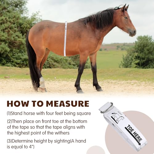 2 Pcs Horse Measuring Stick and Tape for Height and Weight, Height Pole, Accurately Measure the Basic Information of Horse, Measurable (20, Hands or Less) Horses