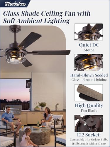 Fanbulous 52" Farmhouse Ceiling Fan with Light and Remote App, DC Motor | Rain Glass Shade, 6-Speed Reversible, Downrod Mount, Double-Sided Blades for Bedroom, Living Room Oil Bronze - color: Oil Rubbed Bronze