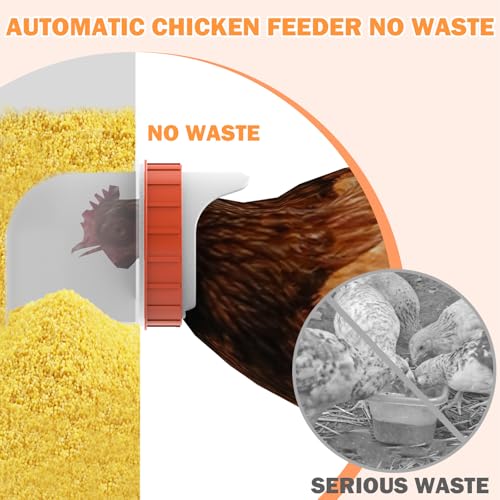 85 Pounds Automatic Chicken Feeder 6 Ports Large Gravity Fed Chicken Feeder with Adjustable Legs Perspective Window Latch & Handle for Chickens Bantams Pheasants - size: 6 Ports - 85-120 LBS