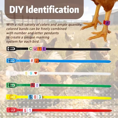 120 Pcs Chicken Leg Bands with Number & Letter Charms, Poultry ID Bands | Adjustable Poultry Identification Kit with 6 Color Bands and 300 Number & Letter Charms for Chicken, Duck, Turkey & Goose