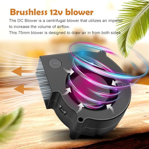 Small 12V DC 75mm x 30mm Centrifugal Brushless Blower Fan High Speed Inflatable Turbo Fan Replacement Dual Ball Bearing 2Pin - style: 75 x 30 12v2p