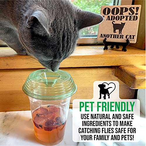 Billy-Bob Fly Lid - Turn Almost Any Cup Into A Fly Trap. Indoor and Outdoor Use - 4 Pack (4 Fly Lids Total)
