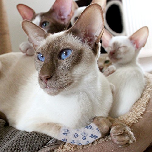 Pet Bandage Cohesive Bandage Self Adhering Wrap Tape, Multi-Function Elasticity Gauze Rolls Wrap First Aid Vet Tape for Dogs Cats Horses Birds Ankle Sprain (White and Blue)