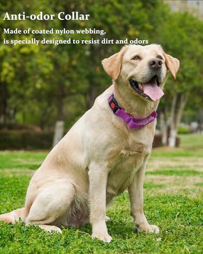 Waterproof Martingale Collar for Dogs,Easy to Clean Dog Collars with Safety Quick Release Buckle,Rubber Collar for Medium Large Dogs Walking Training (Purple, S (13.4-16.5inch)) - color: Purple, size: S (13.4-16.5inch)