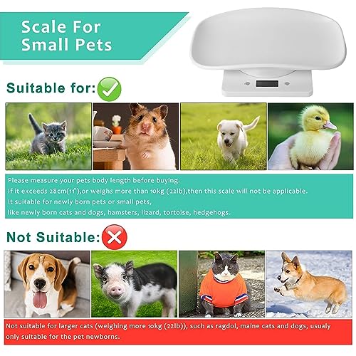 Digital Small Animals Scales for Weighing with Tape Measure, Puppy Whelping Scale Weigh Your Kitten, Rabbit with High Precision, Inclue 15 Color Newborn Puppy Collars and 6 Record Keeping Charts - color: Pet Scale with Puppy Collars&Record Keeping Charts