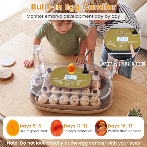 Egg Incubators for Hatching Eggs, for Chicken, Duck & Quail Eggs | | Hold 12-42 Eggs | Temperature & Humidity Control | Automatic Egg Turning | Egg Candler | 2 Water Bottles | Air Vents |