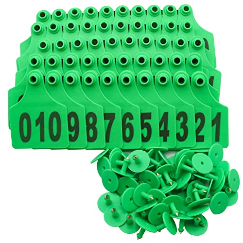 100PCS Cattle Ear Tags 001-100 Numbered Plastic Farm Identification | 4.1x3 Inch Oversize Tags for Cattle Cows Goats Sheep Pigs Hog Calf, Laser Printed Herd Management (001-100, Green) - color: Green