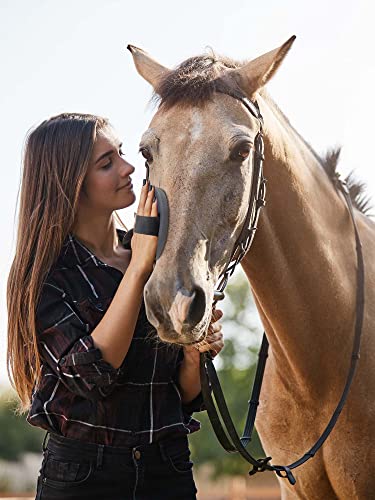 Horse Grooming Kit, Pink Storage Bag with 10 Piece Professional Equestrian Care Tools, Brushes, Combs, Scraper and Gloves (Pink)
