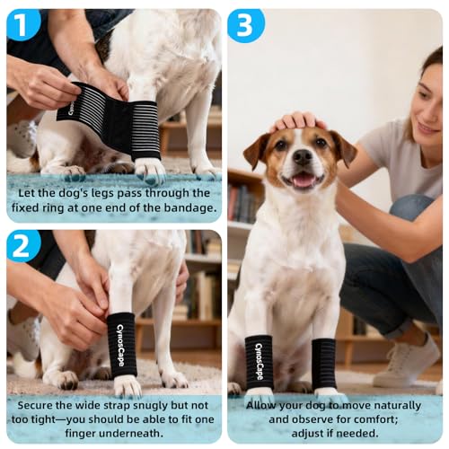 Dog Leg Brace – Front & Rear Leg Support with Compression Wrap for Canine Joint Stability - size: Medium-Upgrade