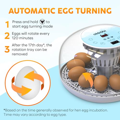 M12 Incubators for Hatching Eggs - Egg Incubator with Automatic Turner and Humidity Control - 12/24 Eggs - Incubadora de Huevos de Gallina - Easy to Use and Clean - 360° View - Blue - color: Blue