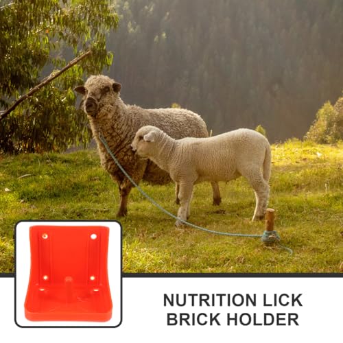 Toddmomy Salt Block Holder for Livestock Thickened Salt Blocks Box for Cattle Sheep Goats Lick Mount and Feeding Tray Easy to Assemble Farm Feeding Accessory 6.69 X 6.69 X 5.70 in