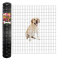 Black PVC Coated Welded Wire Fence 56" x 50' Roll, 2"x4" Mesh, 14 Gauge | Vinyl Coated Garden Fencing, Yard & Pet Barrier, Chicken Wire Fencing, Dog Enclosure Mesh, Vegetable Plant Protector - color: Black, size: 2''x4'' 14GA 56''x50'