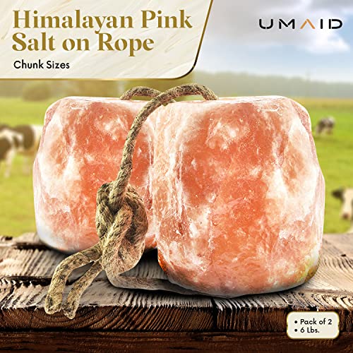 UMAID Himalayan Salt Lick 6 lbs on Rope for Horse, Deer, Goat & Livestock Animals, Salt Lick Deer, Salt Lick for Horses, Salt Block for Horses, Himalayan Salt Block 2 Pack - size: 6 Pound (Pack of 2)