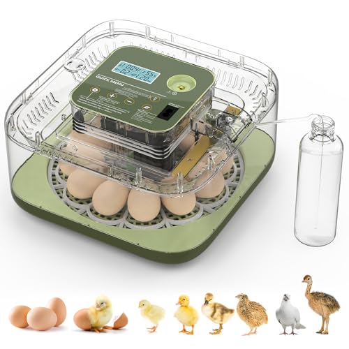 12 Egg Incubator with Automatic Turning, Auto Water Refill & Temp/Humidity Control, Plus Hatching Guide, Digital Hatcher for Chicken, Duck, Quail, Pigeon Eggs & More - color: Green, size: 12 Egg
