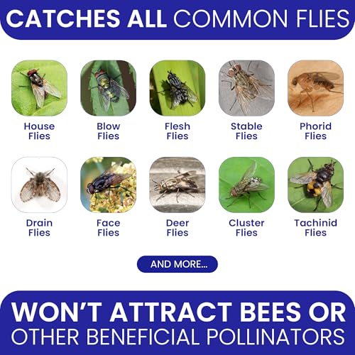 Fly Trap Outdoor Fly Traps for Patio with 2 Non-Toxic Dissolvable Bait Refills. Reusable Hanging Bug Catcher Killer for All Filth Flies for Outside Bug Control Yard Ranch. Hanging Chains Included. - style: 1pack