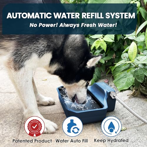 PETIMI Automatic Water Dispenser for Dogs/Cats, 1 Gallon Auto-Fill Dog Water Bowl Dispenser for Indoor/Outdoor, Large Water Feeder for Pets/Livestock, BPA-Free, Wide Mouth, Fits GHT 3/4" Faucet, Blue - color: Blue