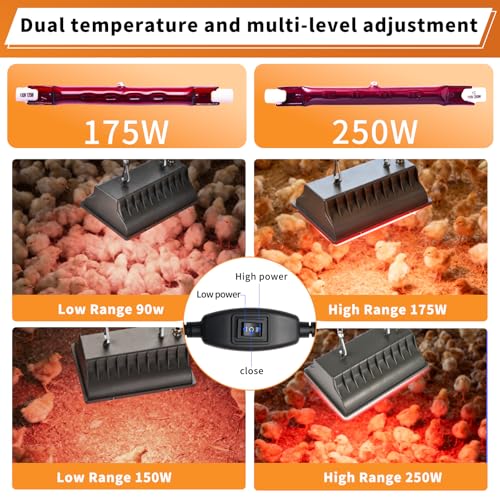 2-Pack 250W Chicken Coop Heat Lamp with Guard & Adjustable Temp | Adjustable 175W/250W infrared heater with safety guard. For chicks, poultry, livestock & small pets. Durable brooder heating. - size: 2 Pack