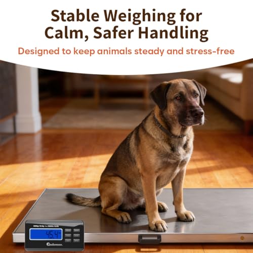 Adamson Livestock Scale 1100 lb / 500 kg – Heavy Duty Digital Dog Scales for Large Breed, for Sheep, Pigs, Goats – Tare, Hold & PCS – Battery or AC Powered (Batteries & Power Adapter Included)