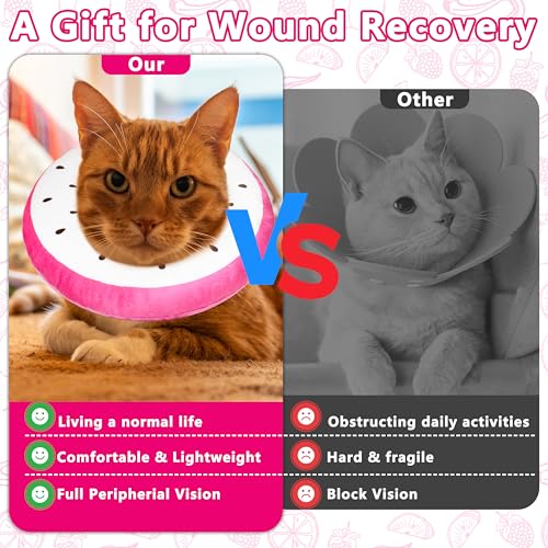 Cat Cone Collar Soft, Cat Recovery Cone (Dragonfruit, S) | Stop Licking, Cute Kitten Donut Collar After Surgery, Elizabethan Collars for Kittens, Lightweight Cats Neck Cones - color: Dragonfruit, size: Small
