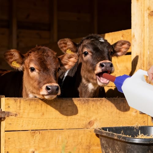 Calf Bottle 3.2 Quart Calf Milk Feeder Nursing Feeding Bottle with Hand Grip Handle Livestock Supplies