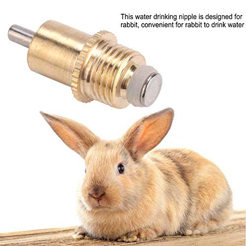 Rabbit Drinker Nipple Set, Pack of 20 Metal Long Type Waterer Drinking Tool for Small Animals, Yellow