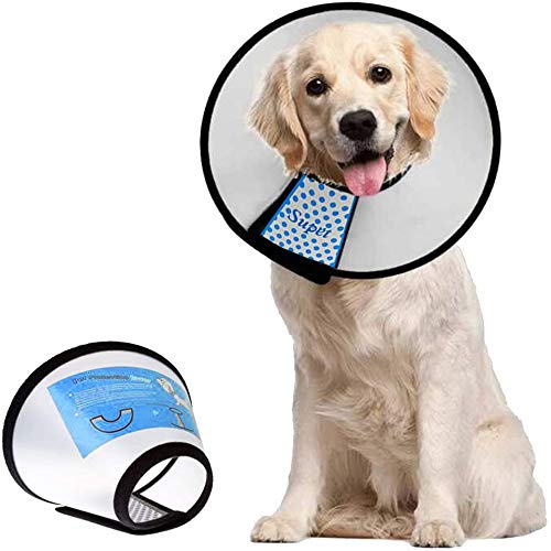 Supet Dog Cone Collar Adjustable After Surgery, Comfortable Pet Recovery Collar & Cone for Large Medium Small Dogs, Elizabethan Dog Neck Collar Plastic Practical - color: White, size: XXL(Neck: 19~22")