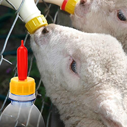 PAGOW 10PCS Nipple for Goats, Small Animal Milk Drink Nipple, Soft Rubber Pacifier for Nursing Lambs and Goat Kids - size: 10 Count (Pack of 1)