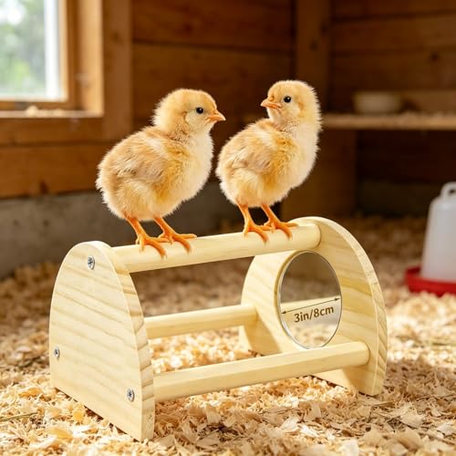 Pine Chicken Perch with Mirror, Strong Chick Jungle Gym Roosting Bar, Chicken Toys for Coop and Brooder, Training Perch Toys for Large Bird, Parrot, Macaw, Hens (Small) - size: Small