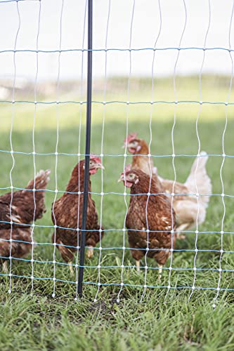 42" x 164' Standard Electric Poultry Netting Kit with A/C Energizer (11/42/3) Electric Chicken Fence Kit for Backyards, Homesteads, and on Farms and Ranches - style: AC Energizer- N1500