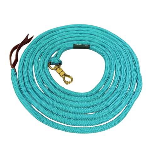 22 Foot Ground Training Rope - Strong Everyday Use All-Purpose Large Horse Lead Rope with Loop & Latigo Popper | 9/16" Diameter Smooth Yachting Braid, Teal - color: Teal