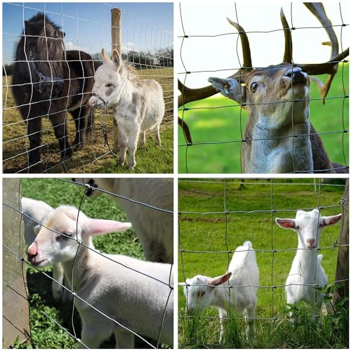 Farm Fence 48in x 50ft Heavy Zinc Coating Cattle Fence,Galvanized Field Wire Fencing Deer Fence,Goat Fence,Hog Wire Fencing for Yard Livestock & Animals Protection - size: Silver 48inx50ft