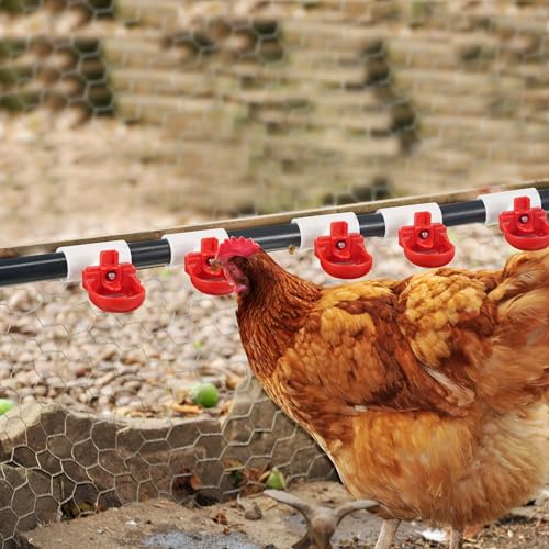 Dreyoo 8 Pack Automatic Chicken Waterer System Pipeline Complete Set | Including 1/2" PVC Tee Fittings, PVC Pipe, Chicken Water Cups, Float Valve Controlled Automatic Chicken Nipple Waterer Cups
