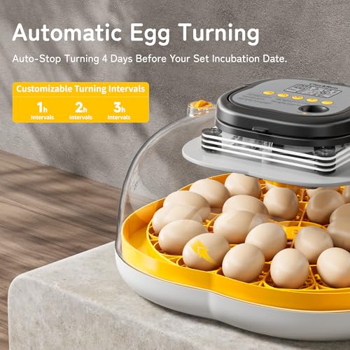 25 Egg Incubators for Hatching Eggs, Auto Turning, Temp & Humidity Control | Auto Water Refill, Auto Egg Turning, Turning Timer, Incubation Timer, Built-in Egg Candler & Protective Wall Design - color: Yellow, size: 25 Eggs
