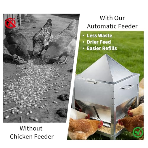 Automatic Chicken Feeder, 80lb Large Capacity Chicken Feeder, No Waste Gravity Poultry Feeder with Legs and Rain Proof Lid, Metal Outdoor Poultry Feeders for Hens, Ducks, Roosters, Free-Range Coops