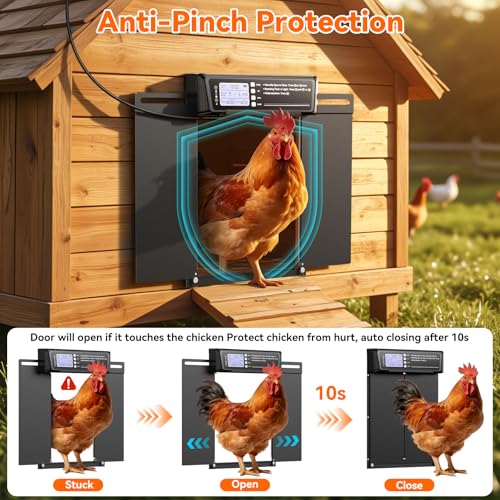 Automatic Chicken Coop Door Large Size, 7W Solar Powered with Timer & Light Sensor, Anti-Pinch Safety Chicken Door, Remote Control, Predator-Proof Aluminum Door for Poultry, Ducks & Chickens