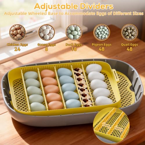 IBKINXX Incubator for Hatching Eggs-24 Egg Capacity, Automatic Egg Turner, Temperature & Humidity Control, 360° Viewing for Chicken, Duck and Quail Eggs (Yellow)