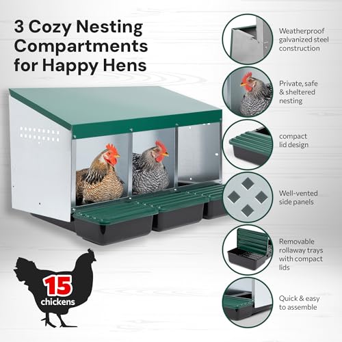 Homestead Essentials Compact Style 3 Compartment, Forward Rollout & Rollaway, Hen & Chicken Nesting Box with Protective Egg Laying Collection Lids