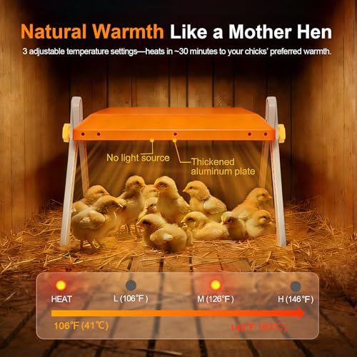 Chick Brooder Heating Plate - Briidea 80W Brooder Heater with 3 Adjustable Temperature, 10 PET Cleaning Film, Adjustable Height & Angle, Warmth Like Hen, 10" x 10" for 15 Small Poultry - color: 3 Adjustable Temperature
