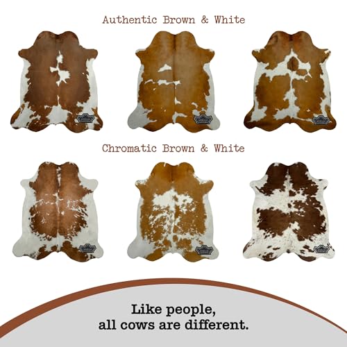 Chromatic Brown and White Cow Hide Rug 6x7 ft, Real Hide | Real cowhide rug, chromatic sheen on brown and white, no two alike. Cow skin statement anchor for modern interiors - color: Chromatic Brown & White, size: 6' x 7'