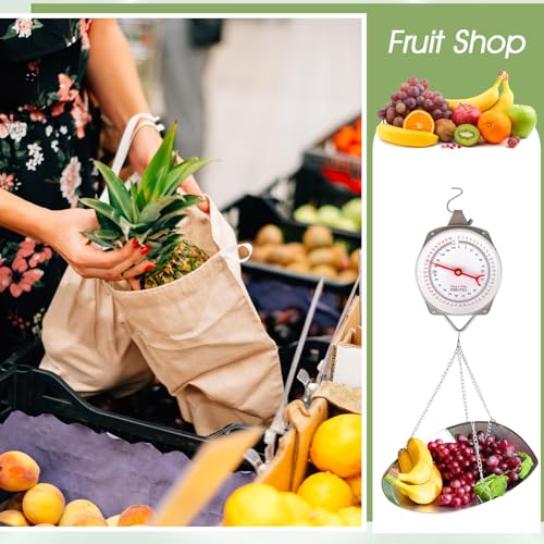 Tellegloww 1 Set 110 lbs Large Display Hanging Scale with Scale Scoop Kitchen Dial Weight Scale Silver Industrial Spring Scales for Shopping Traveling Food Produce Weighing