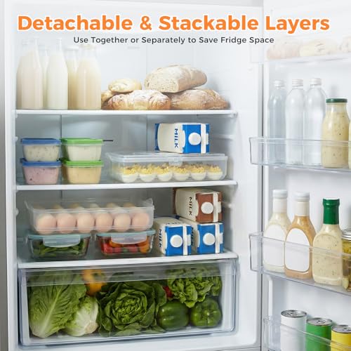 HANSGO Deviled Egg Containers with Lid, Deviled Egg Carrier For 48 Eggs | 2-Layer Plastic Detachable Clear Storage Egg Tray for Refrigerator, Kitchen, Party, Travel, Family Gatherings, Easy