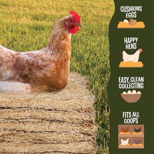 MagJo Aspen Nesting Pads for Chicken Coops - USA Grown Aspen Excelsior Nest Box Liners 13x13-12 Pack - size: 12 PACK