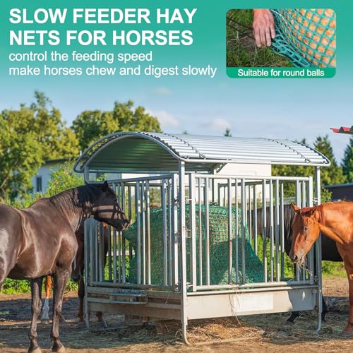 6x6 ft Round Bale Hay Net - Large Slow Feeder for Horses & Livestock, Knotless Design Slow Feeder Hay Nets, Fits 4x4ft 5x5ft 6x6ft Round & 3x3x8ft 4x4x8ft 5x5x8ft Square Bales (Green-Round) - color: Green-Round