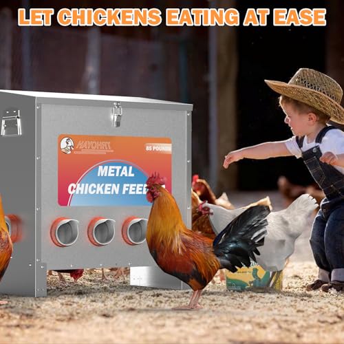 HAYOHRT 85 Pounds Automatic Chicken Feeder 6 Ports Large Gravity Fed Chicken Feeder with Latch & Handle for Chickens Bantams Pheasants Poultry Coop Weatherproof - size: 6 Ports - 85-120 lBS